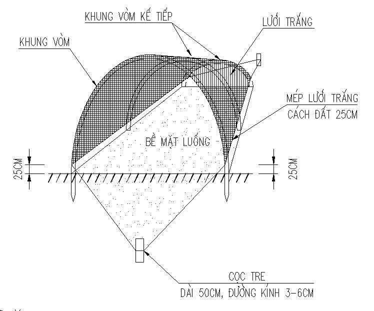 khung bước 4_1702884928.png